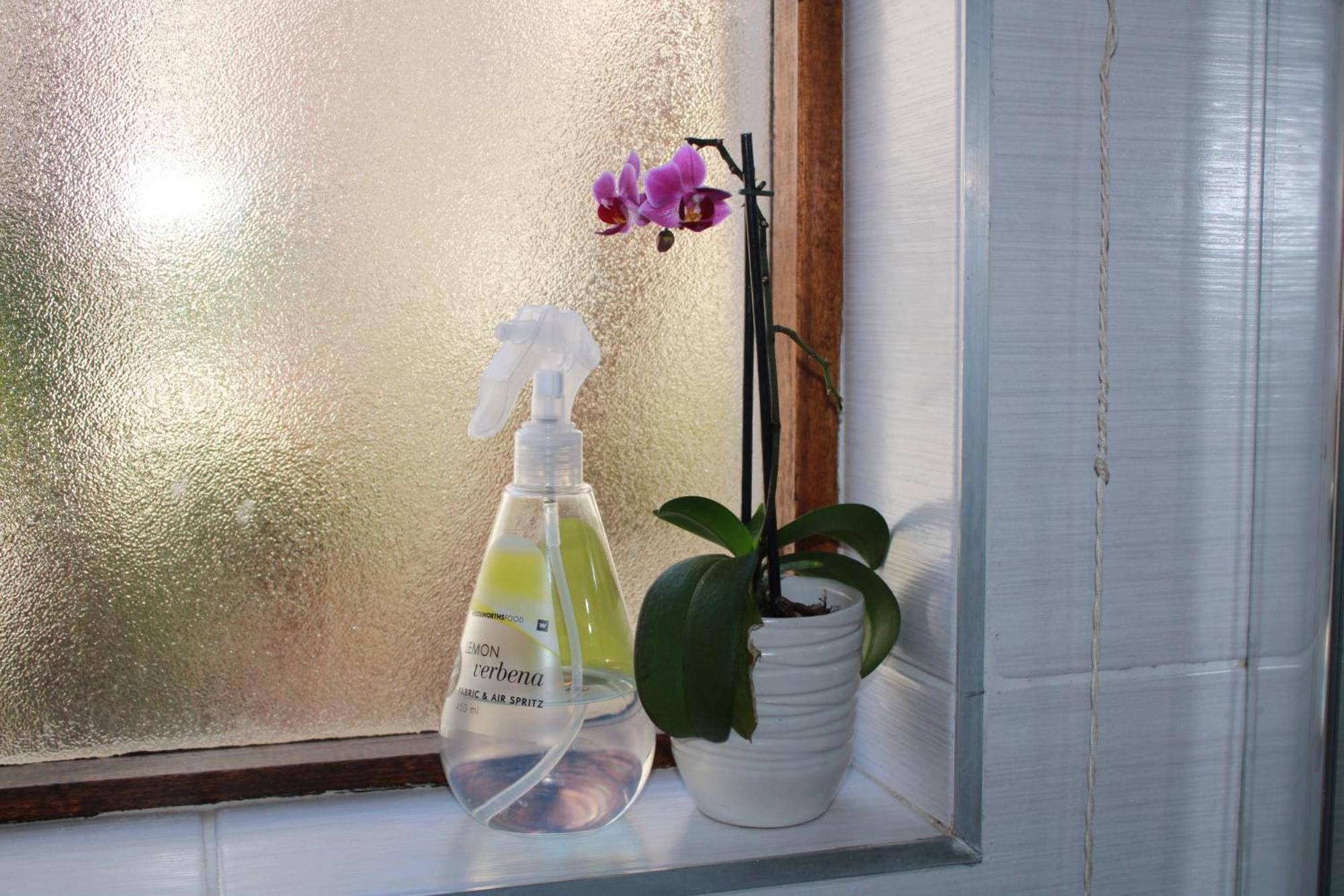 C-Vu-Cottage Cosy And Warm Private Apartment มอสเซิลเบย์ ภายนอก รูปภาพ